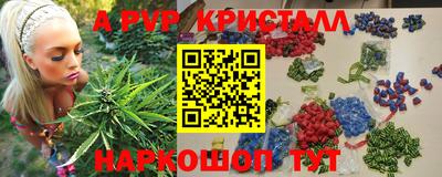 стафф Лесосибирск
