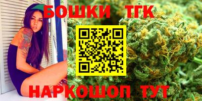 стафф Лесосибирск