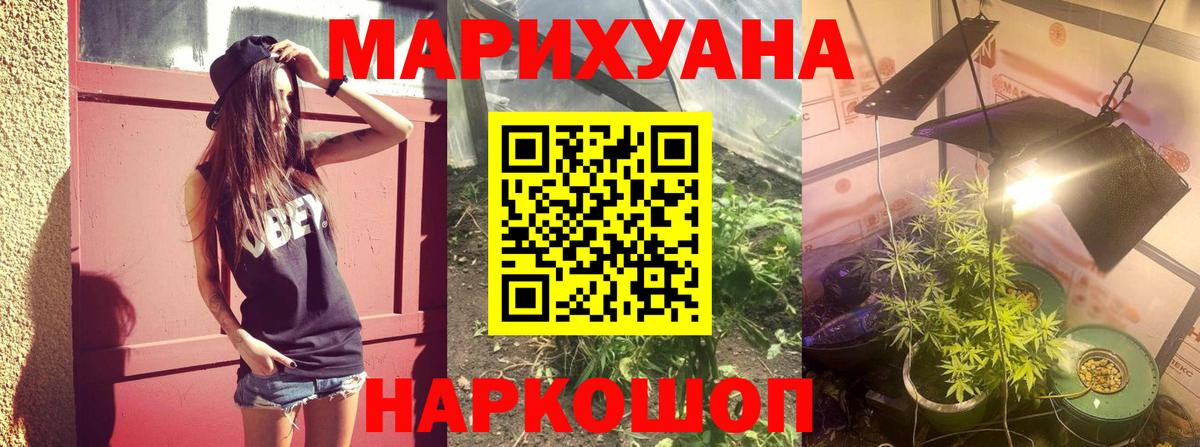 Конопля индика Кондопога
